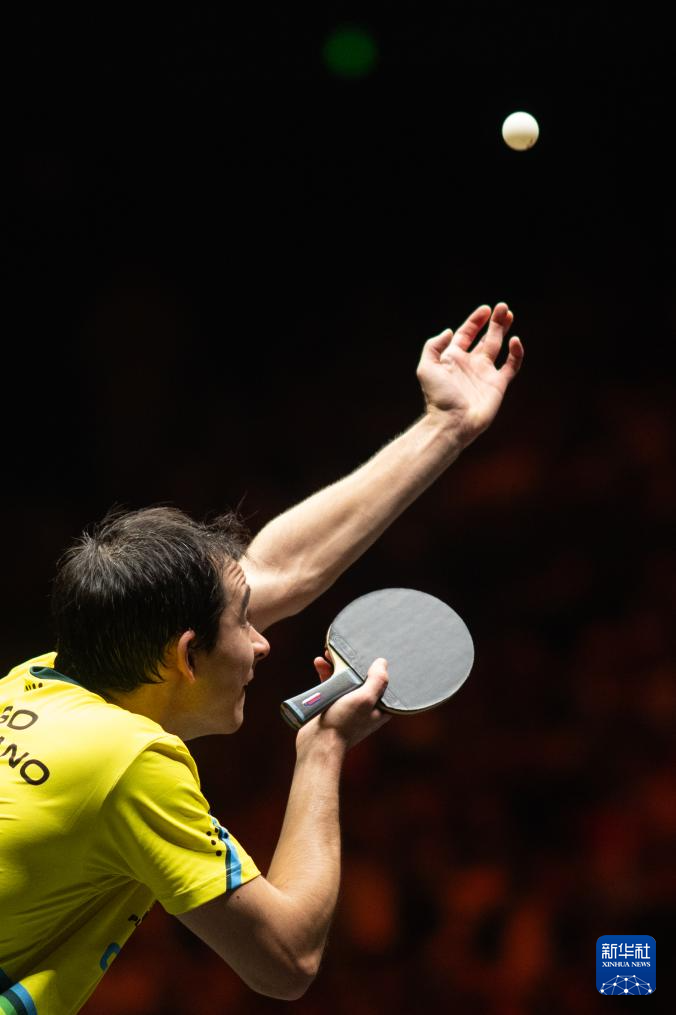 他们在书中 他们在书中