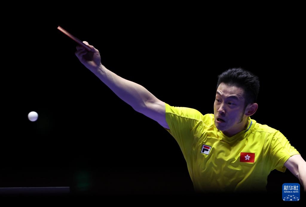 种荣誉的象 种荣誉的象