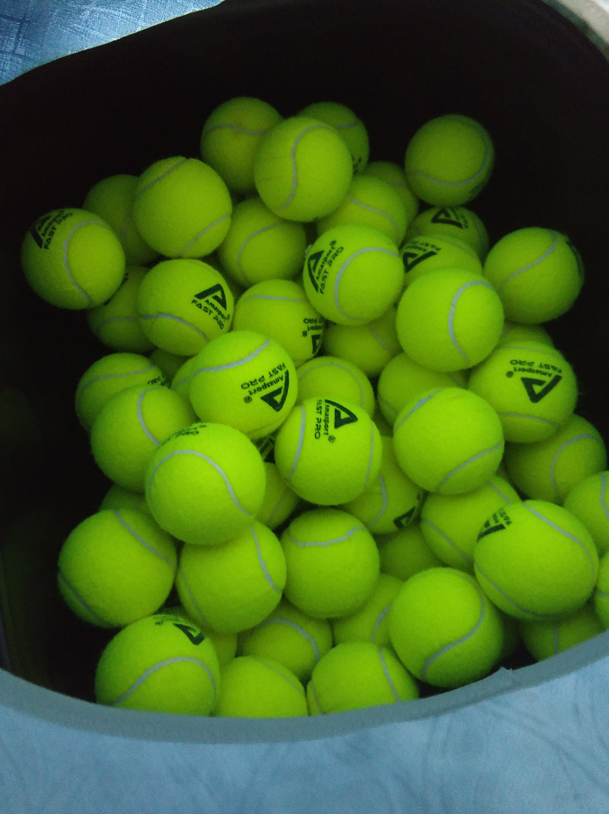 倾注到青训 倾注到青训