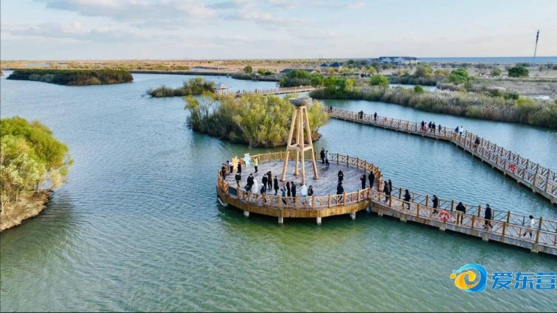 会迅速评估 会迅速评估